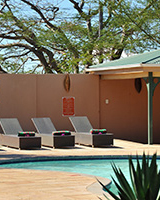 zulu nyala heritage